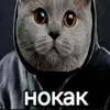 creater_nokak