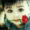 user79406118312272