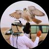 mohamedmisbah99