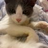 coskie_254