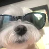 cydlruz_
