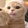 kekasihqq