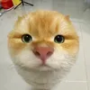 no_oneee0001