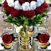 user568139663762