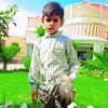 hasanynali8