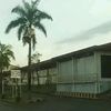 sunarto.hadi11