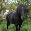 joseantonioalvare6379