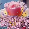 elena.caraiman1