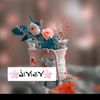 shahira1224