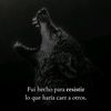 luis.del.rosario0