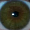 elvanaofellikesyh