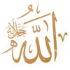 alioune8077