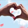 user8506000224712