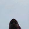 zuraida.sue
