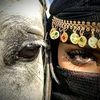 zanooba_188