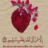 user225330339481