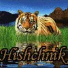 hishchnik5