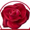 user4813623214419