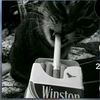userlt0xwyoh3n