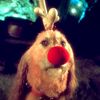 .charliebrownchristmas