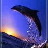 user9049186714713