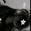 nai.m_stargirl