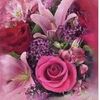 maureen.jones2