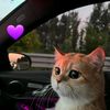 mim27669