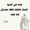 malak_mahamd1