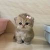 fatima_123f12