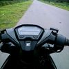 008rendy