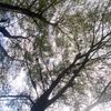 nobeee_i