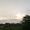 _m.tam00