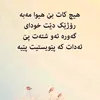 ali.hawlery25
