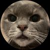juniorthewise.cat