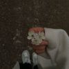 fatma.hany8