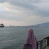 lumut2002