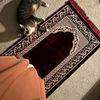 shaimaasayed3940