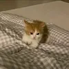 fuckingbanished