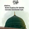 asan.necipolu