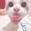lulasyaaa