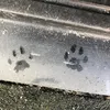 muis_510