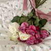 danah143444