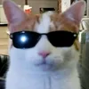 pixel_nexus_pro