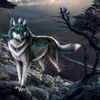 sucaad.mohamed7