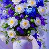 user219867028024