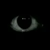 account103840392