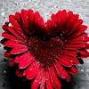 user._65920068