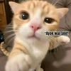 __bangirwan