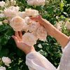 user32198112040285